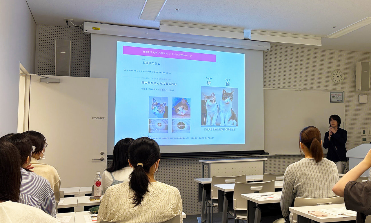 ある日のゼミの様子（竹内ゼミ） | 学科ブログ | 日本女子大学 心理