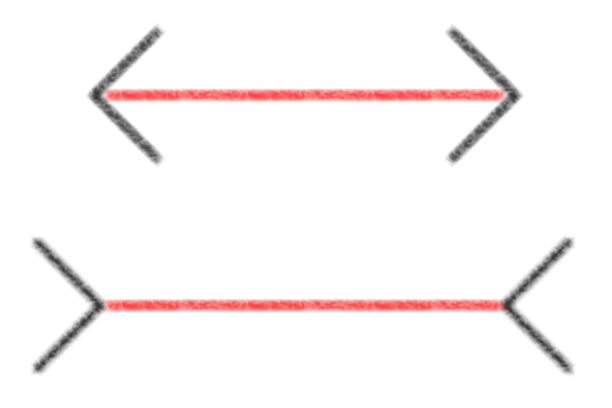 なぜ坂は急に見えるのか？ ① | 心理学コラム | 日本女子大学 心理学科