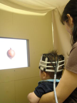ゼミの様子